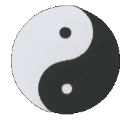 yin yang polarité en mouvement