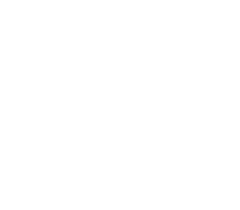 illustration du yin yang accompagnements flammes jumelles