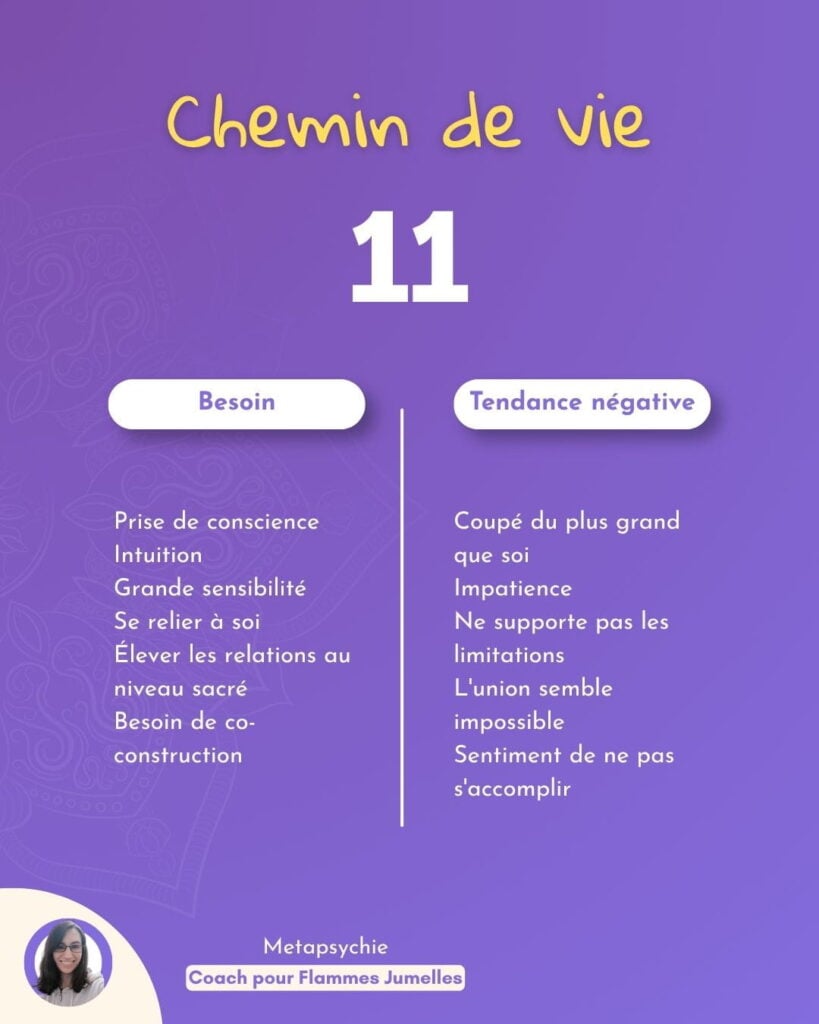 infographie chemin de vie 11 flammes jumelles